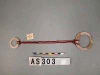 藏品(貝製耳飾)的圖片